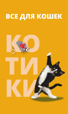Кошки