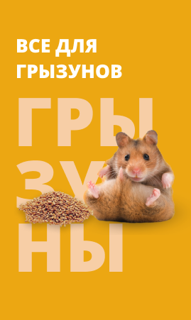 Грызуны