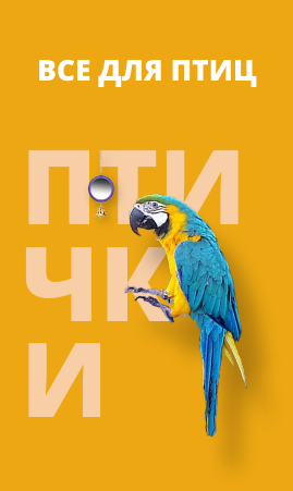 Птицы