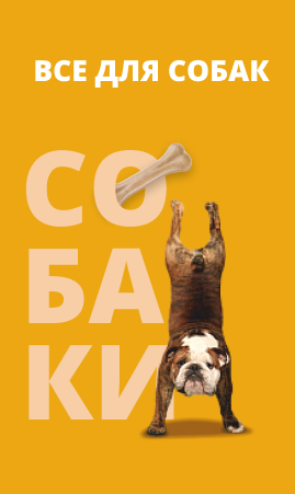 Собаки