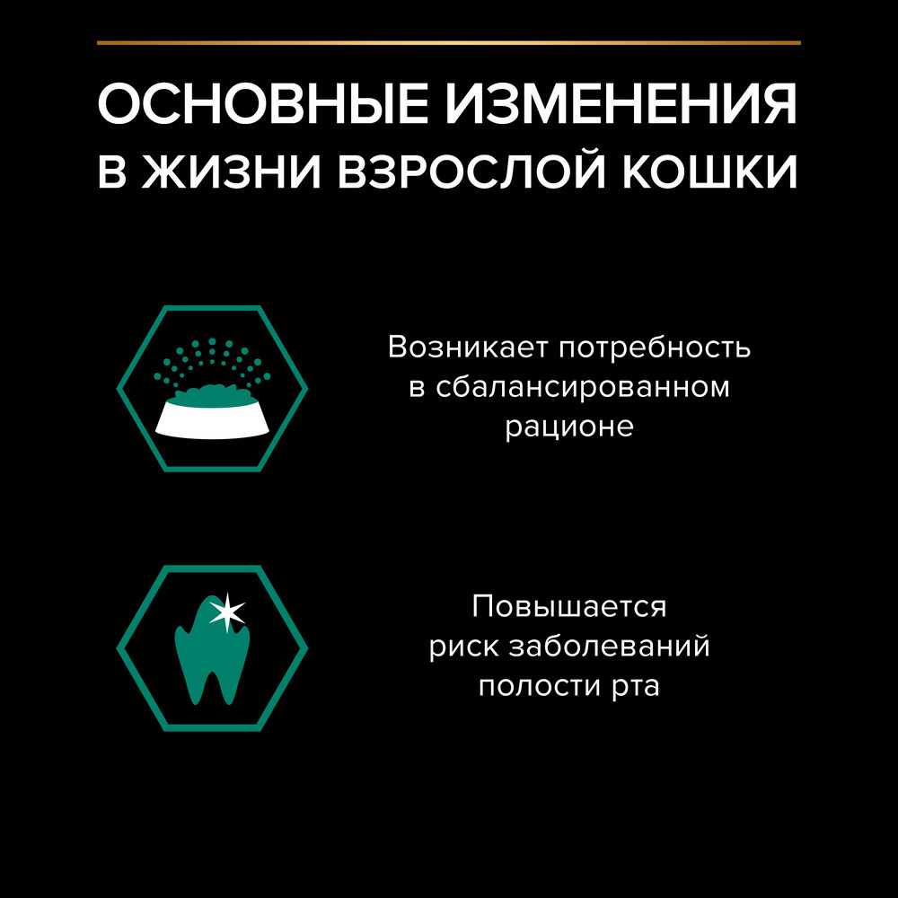 Влажный корм PRO PLAN для взрослых кошек, кусочки с говядиной в соусе, 85г