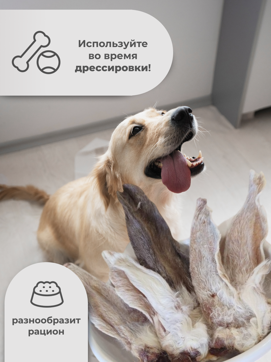 Лакомство Holistic (МХ) Уши Кролика 5шт