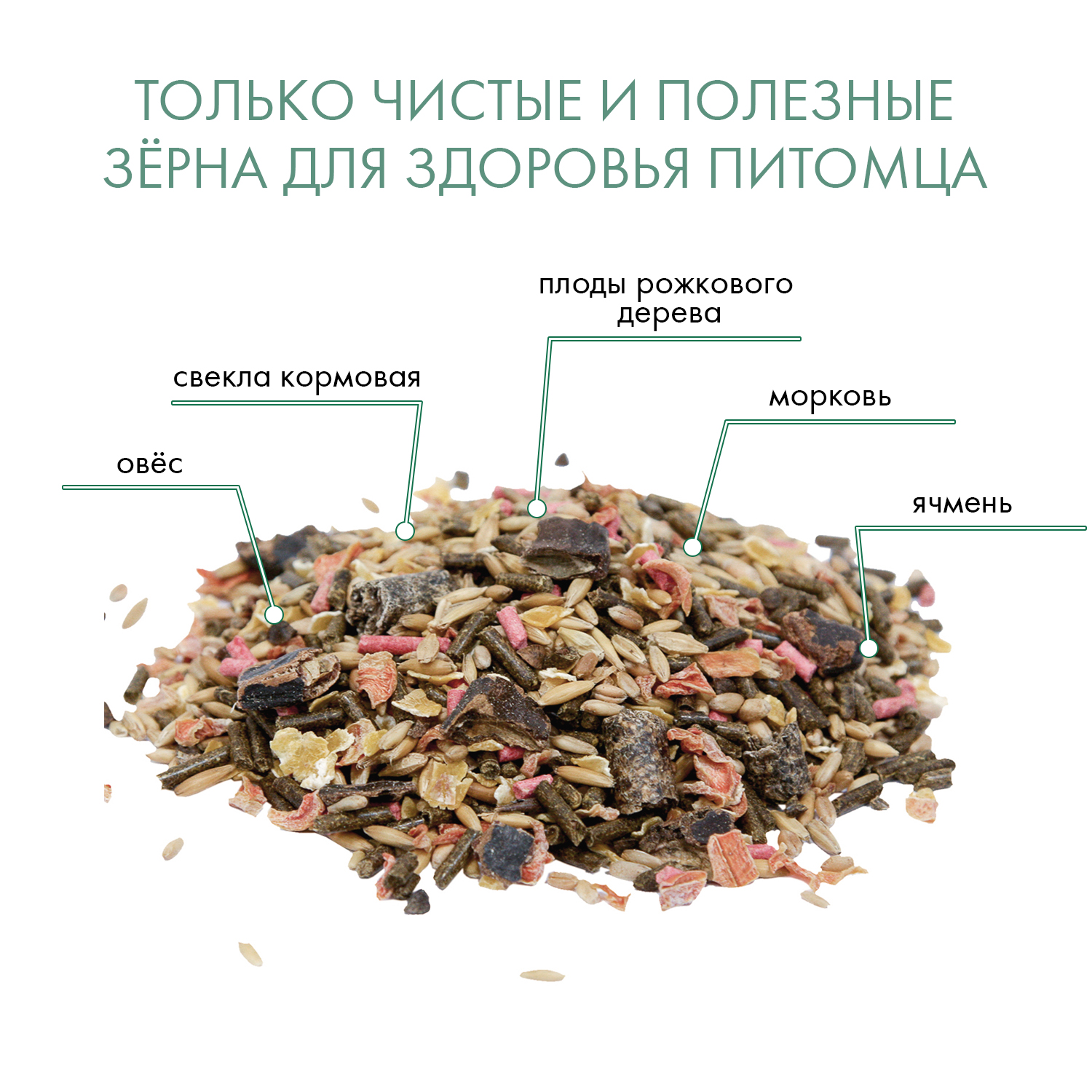 FIORY для Морских Свинок и Кроликов Conigli e Cavie  850г