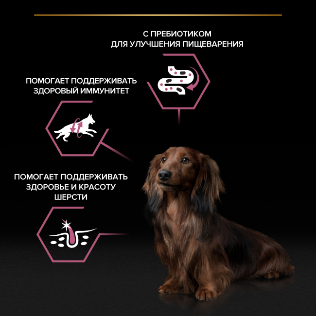 Влажный корм PRO PLAN для собак с чувствительным пищеварением, с лососем в соусе, 85 г