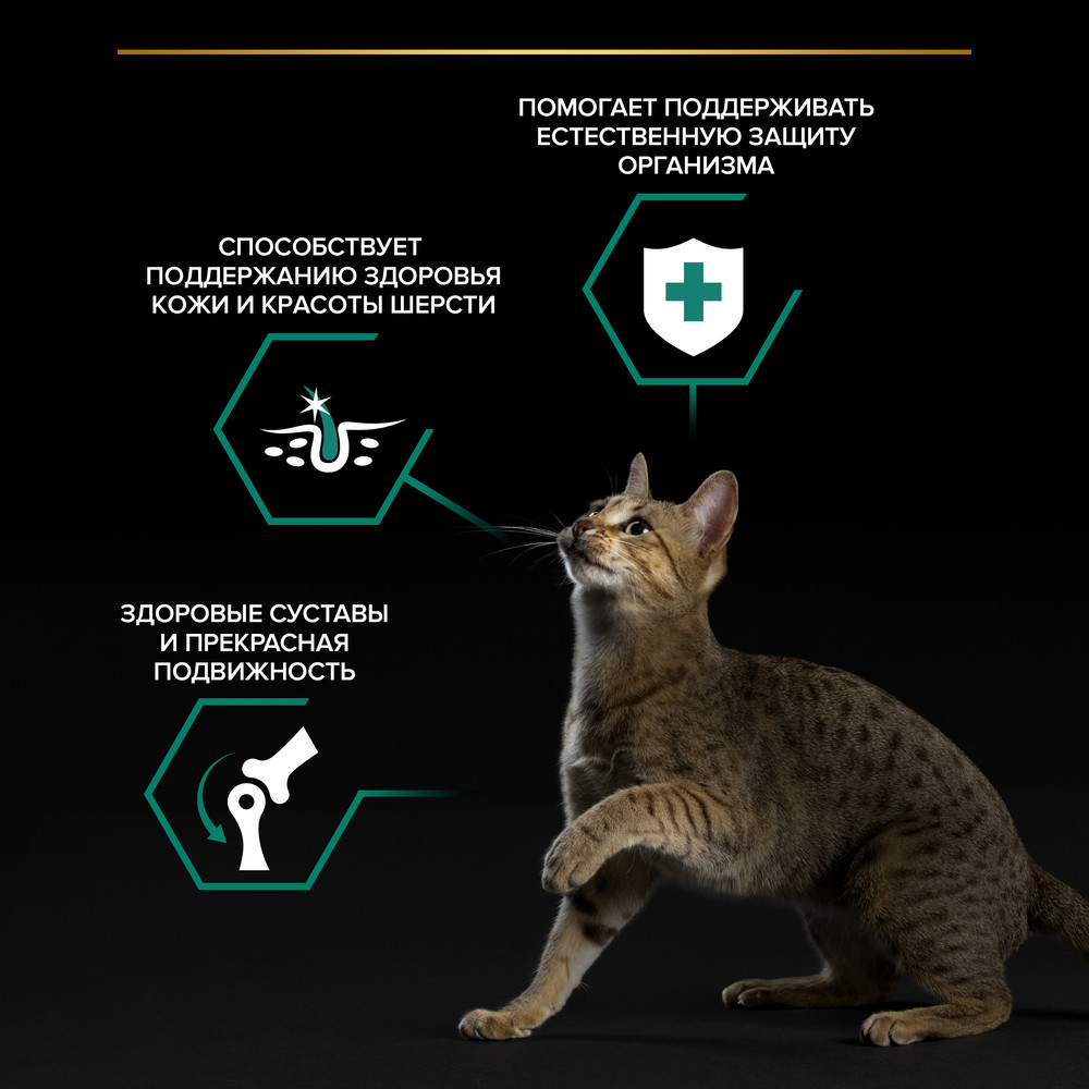 Влажный корм PRO PLAN для взрослых кошек, кусочки с говядиной в соусе, 85г