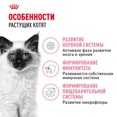 Royal Canin KITTEN 2кг