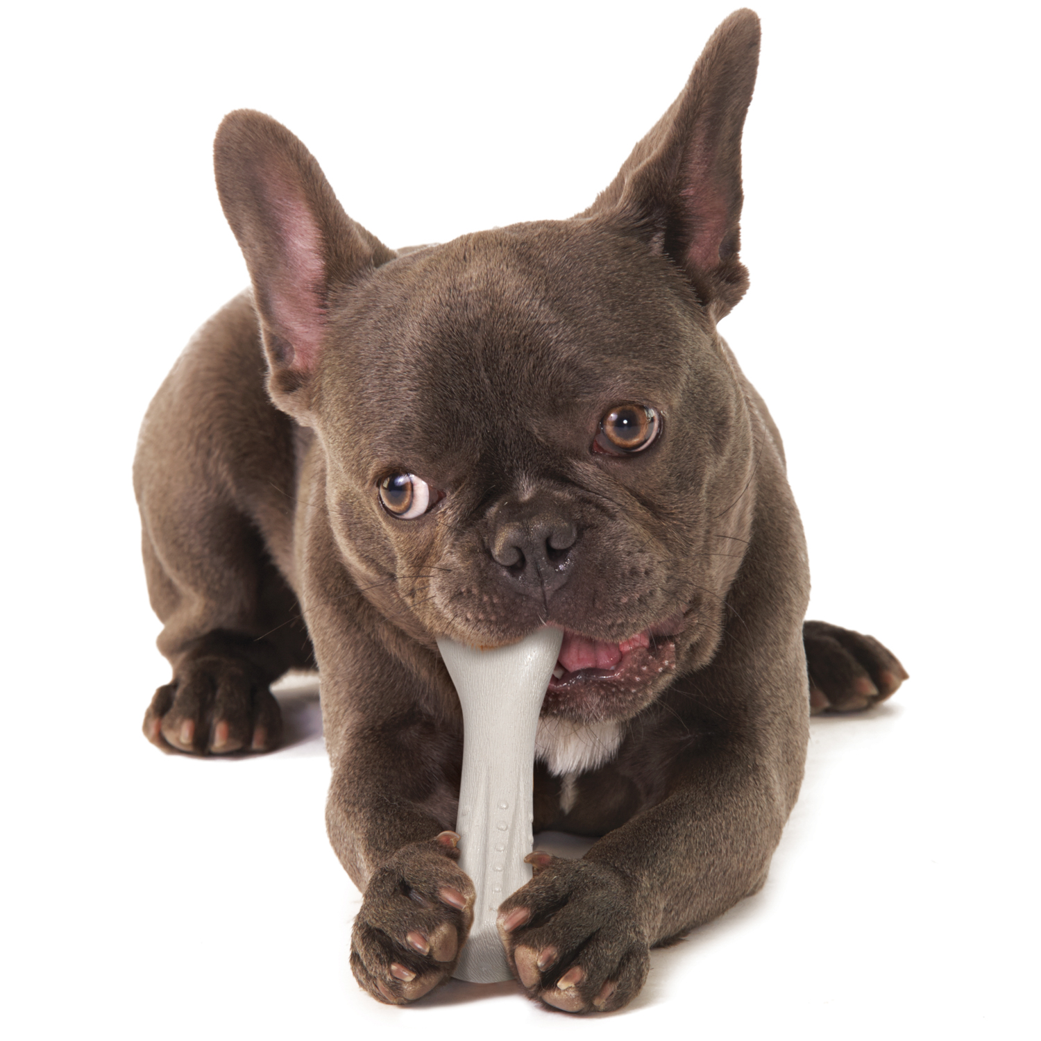 Игрушка Petstages для Собак Deerhorn, с оленьими рогами 12см маленькая