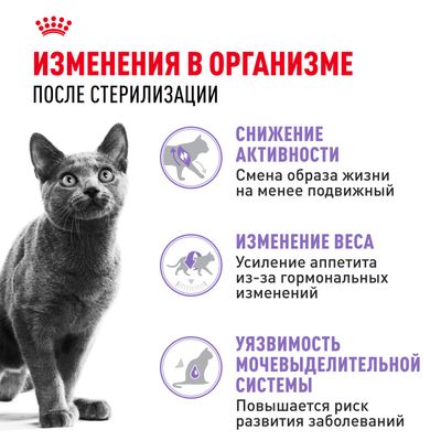 Royal Canin STERILISED 2кг