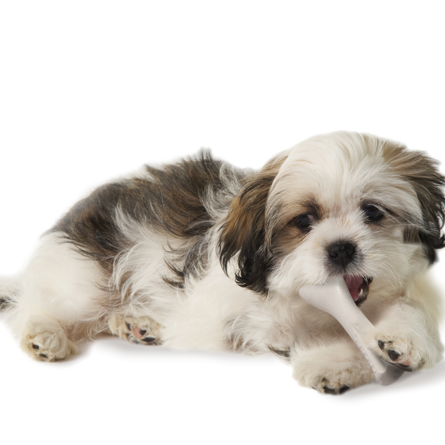 Игрушка Petstages для Собак Deerhorn, с оленьими рогами  9см очень маленькая