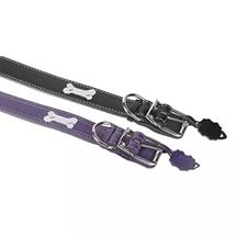 Ошейник 45 с Биркой 75-80 + Ручка О 45 22 11 С