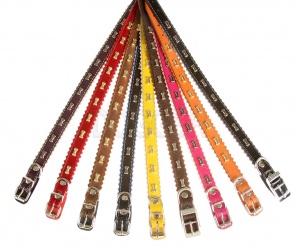 Ошейник 12 Фурнитура Цветной О 12 04 00 Ц