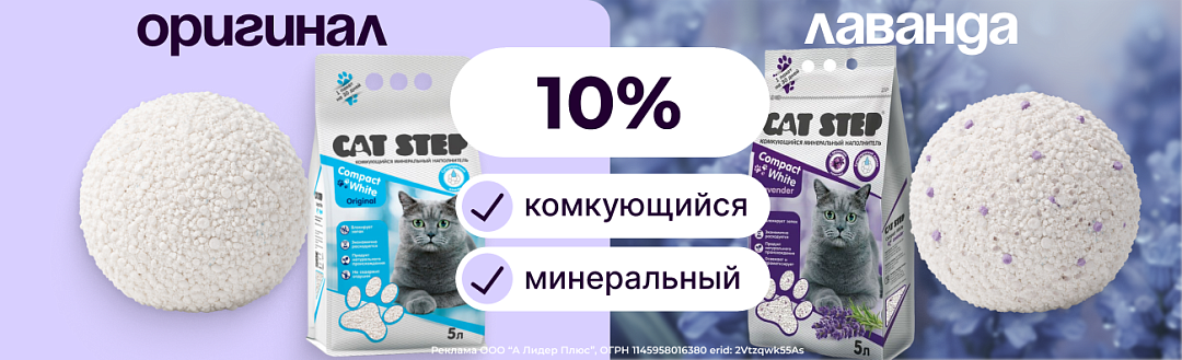 CATSTEP акция