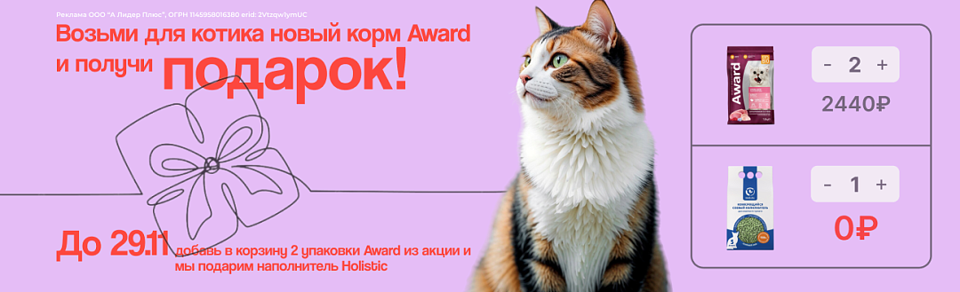 Award + Holistic