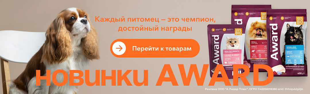 Новинки Award
