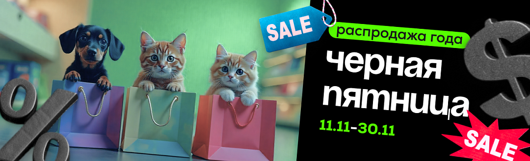 Черная пятница 2025