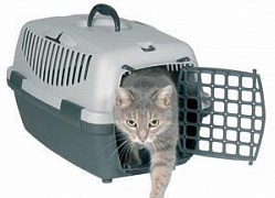Переноски для кошек 