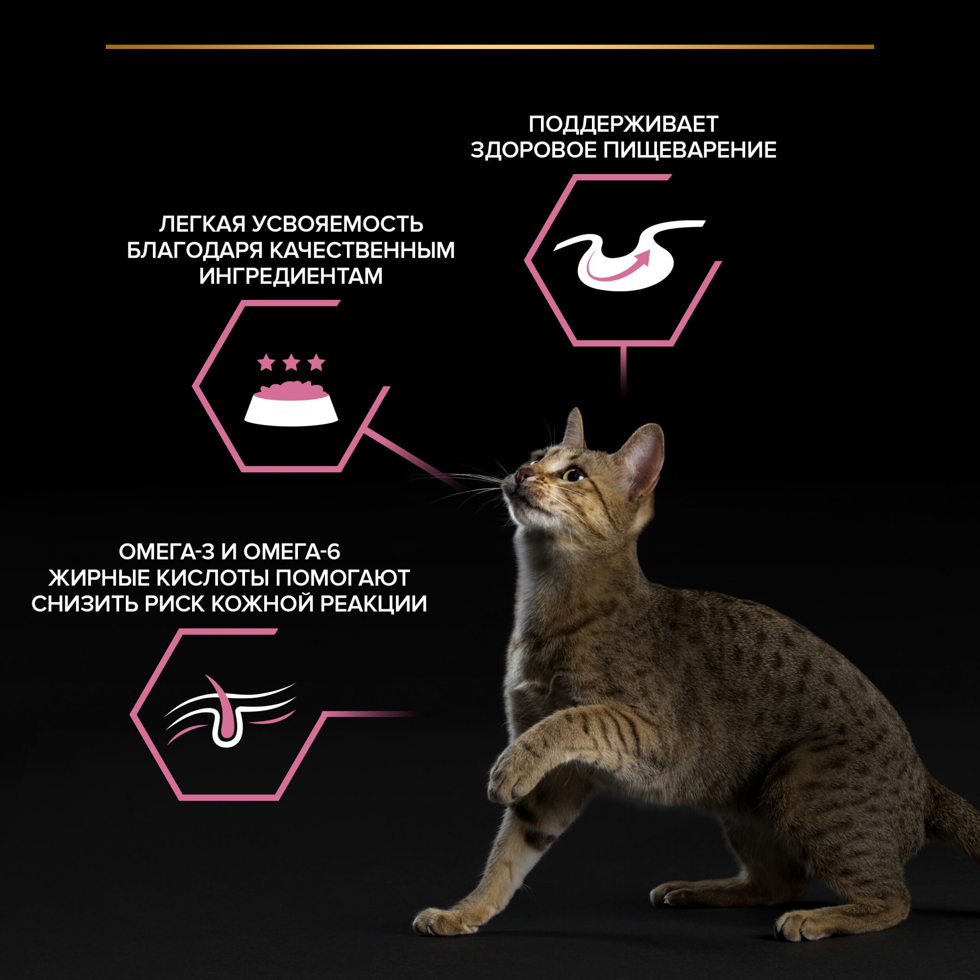 Влажный корм PRO PLAN для кошек при чувствительном пищеварении, в соусе с индейкой, 85 г 