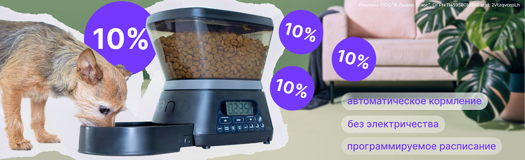 Акция на автоматическую кормушку